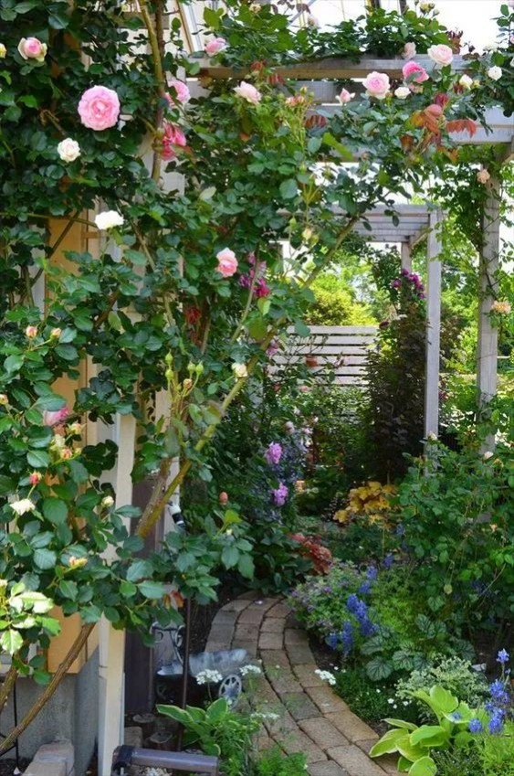 1681112023106646.jpg 1681112023106646.jpg